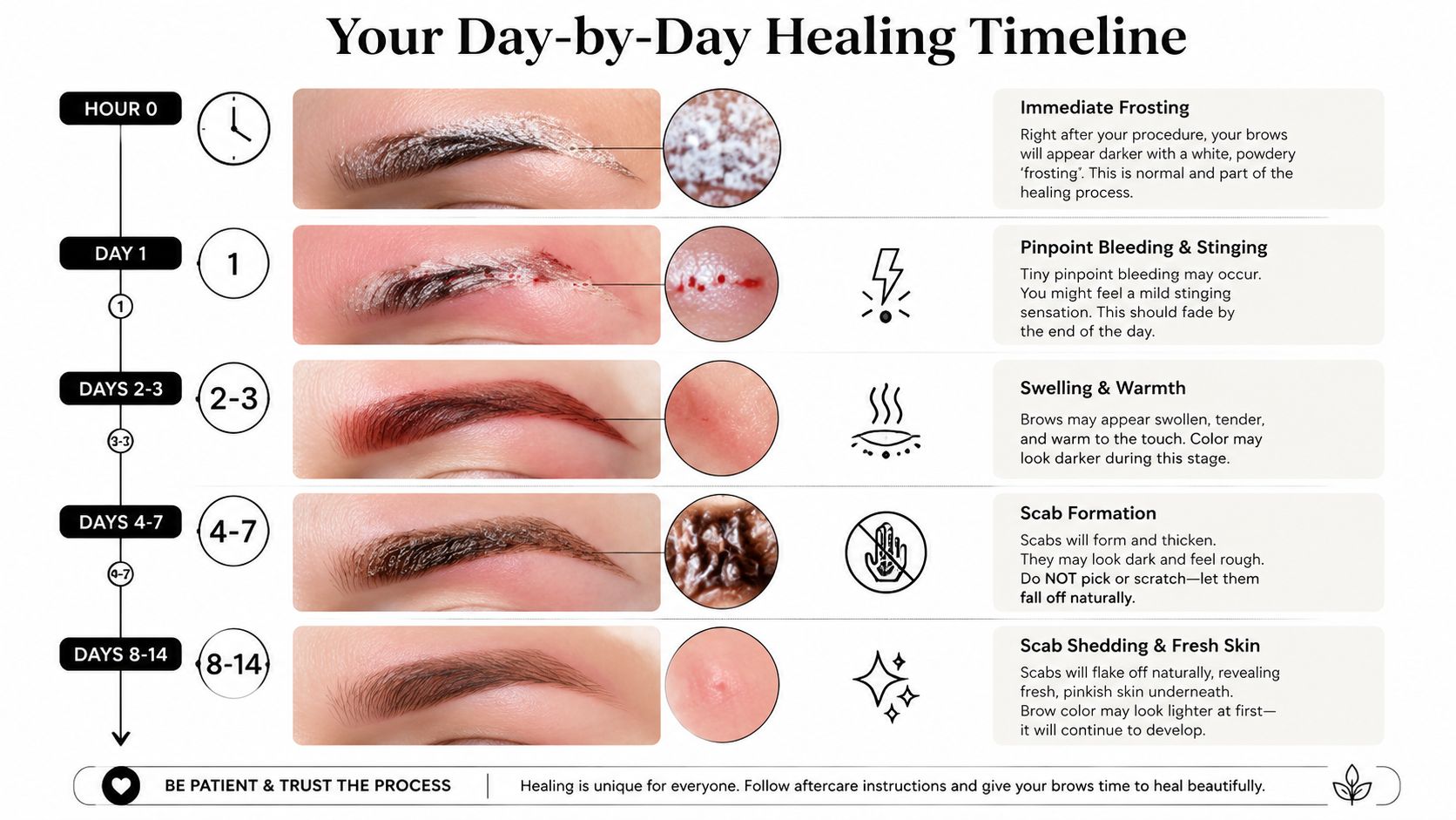 A detailed timeline infographic illustrating the daily stages of the eyebrow tattoo healing process after cosmetic procedures.