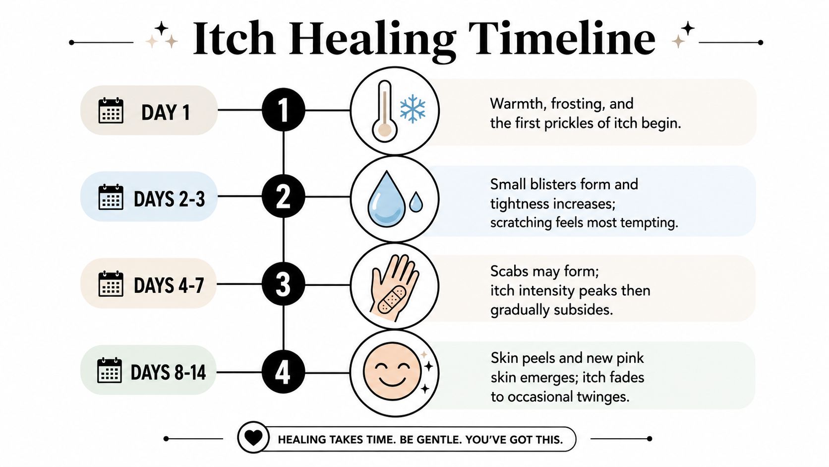 An infographic titled Itch Healing Timeline outlining the skin recovery process over a period of fourteen days.